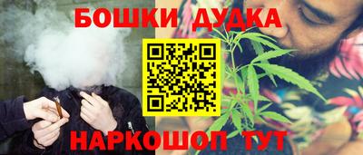 СК Кингисепп