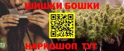 СК Кингисепп