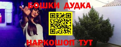 СК Кингисепп