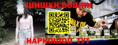 СК Кингисепп