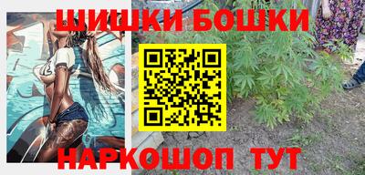 СК Кингисепп