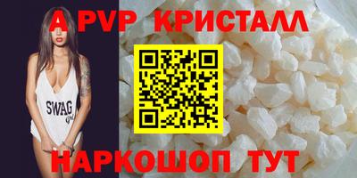 СК Кингисепп