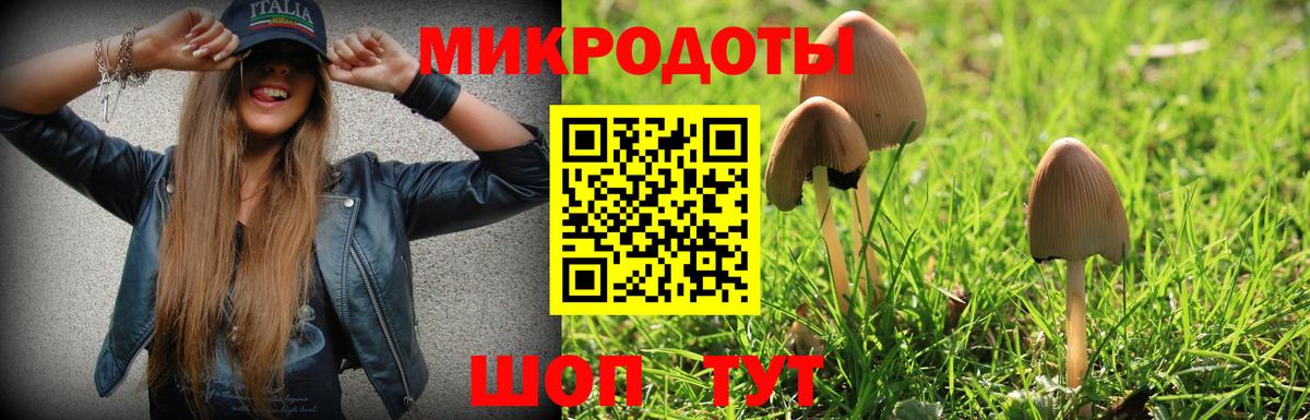 Галлюциногенные грибы ЛСД  Псилоцибиновые грибы GOLDEN TEACHER  Вход с VPN  Ртищево 